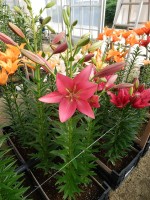 [5116 Ebro DJ No01.JPG]